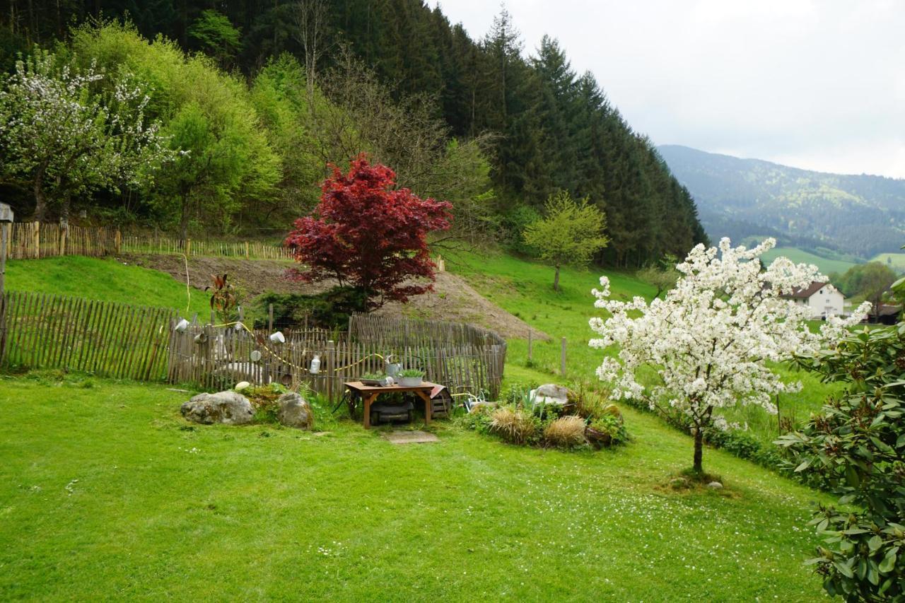 Hoellkopf - Stubenhof, Black Forest Simonswald Exteriör bild
