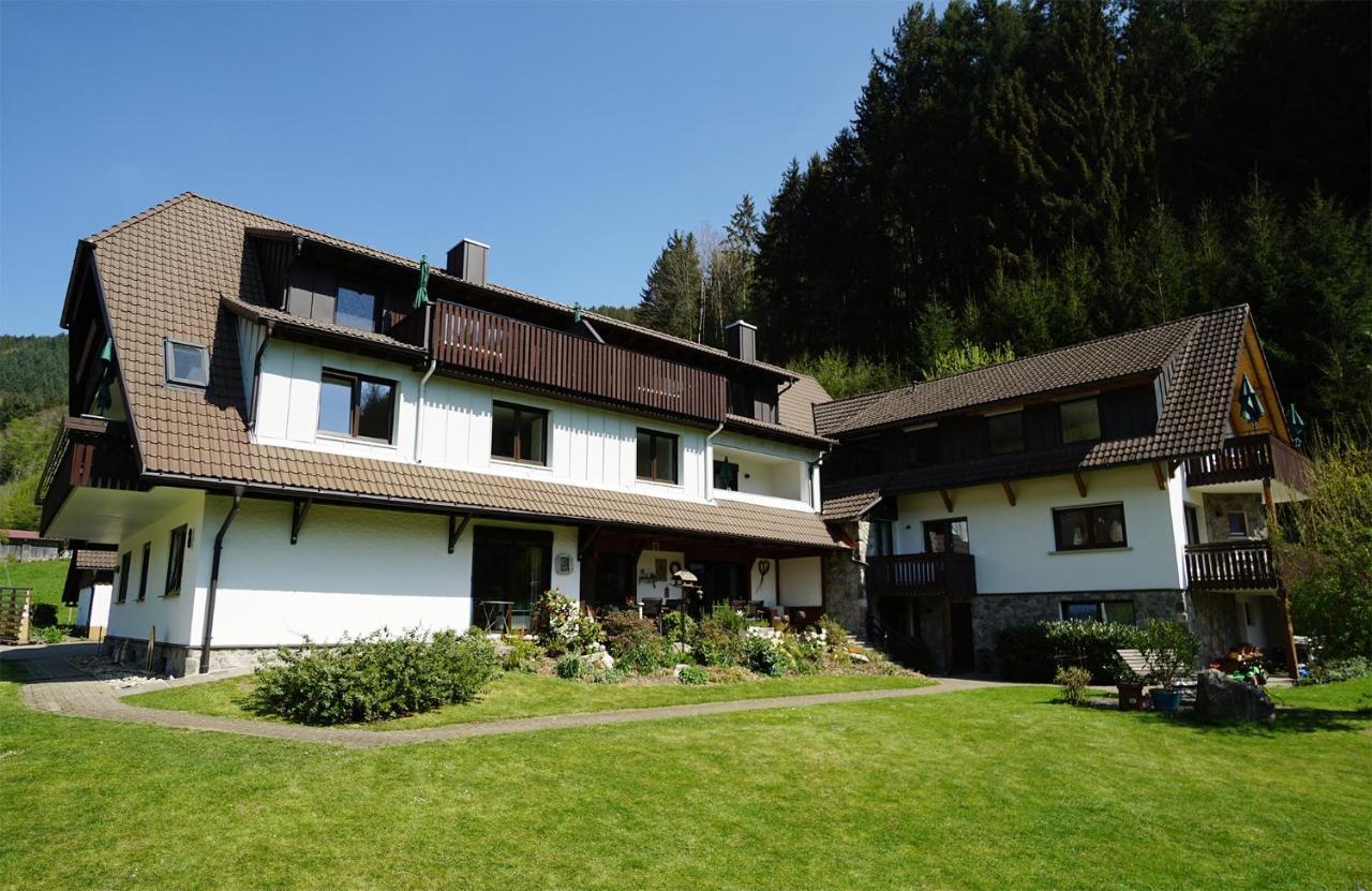 Hoellkopf - Stubenhof, Black Forest Simonswald Exteriör bild